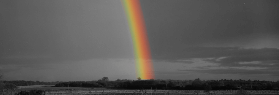 Regenboog